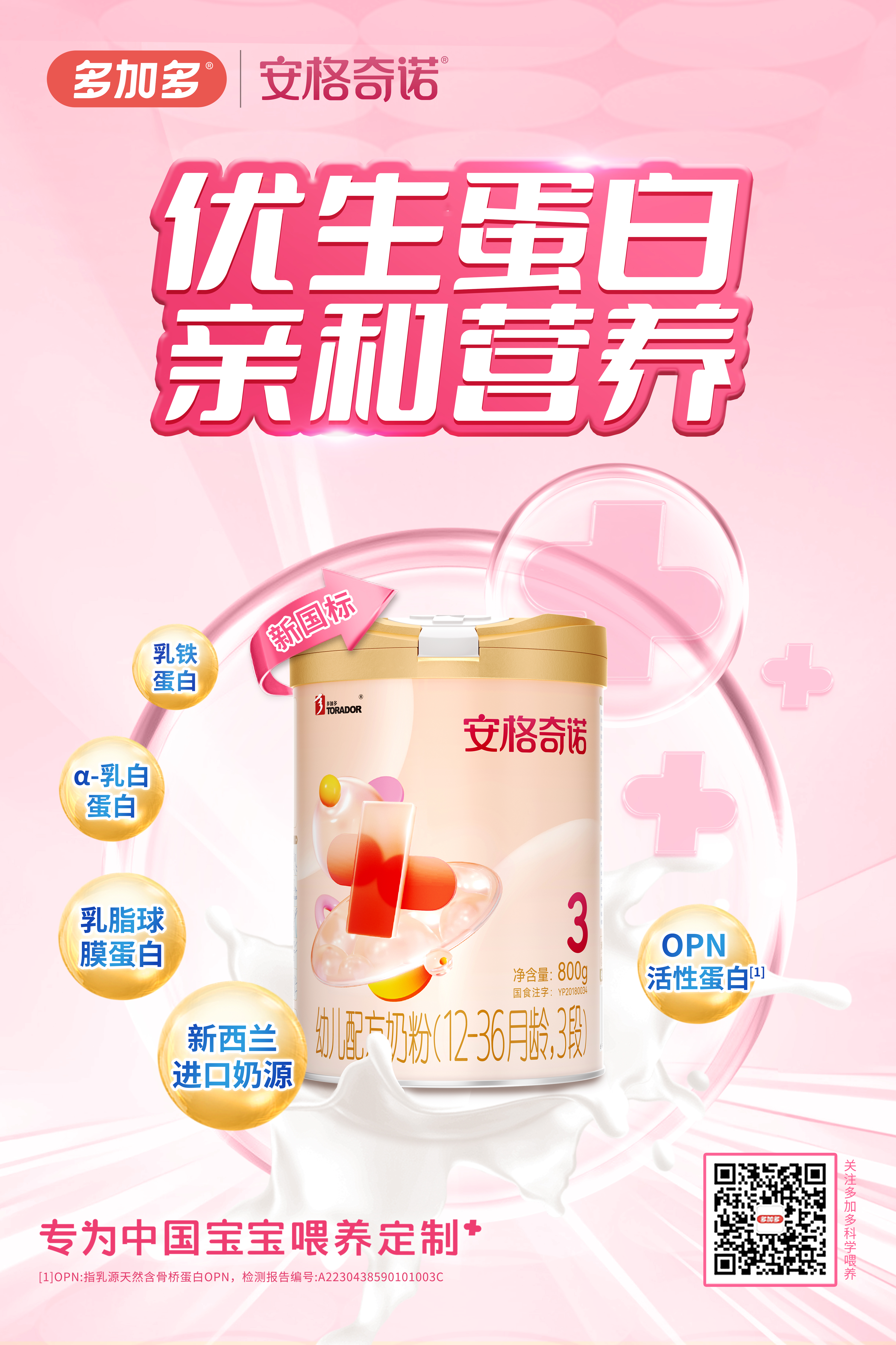 安格奇諾